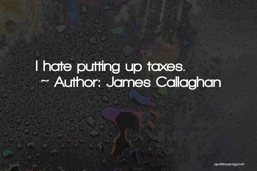 Callaghan Quotes By James Callaghan