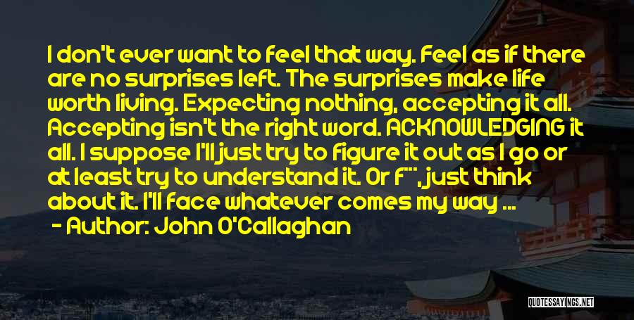 Callaghan Quotes By John O'Callaghan