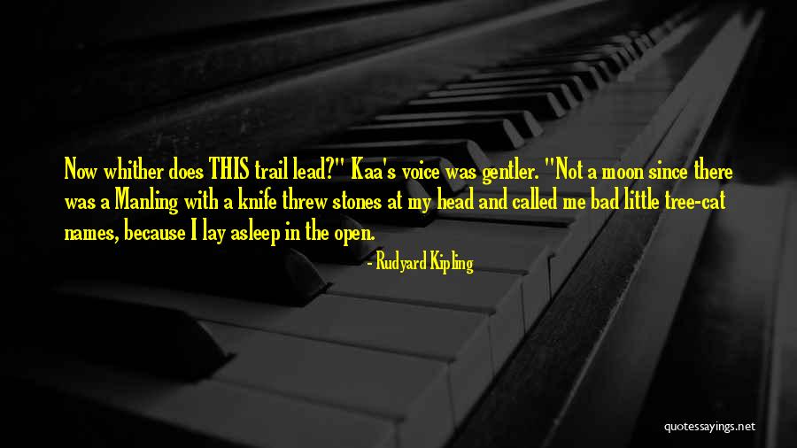 Called Names Quotes By Rudyard Kipling Called Names Quotes By Rudyard Kipling