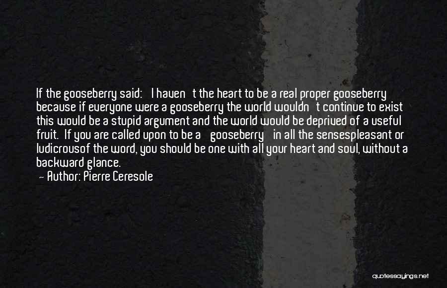 Called Stupid Quotes By Pierre Ceresole