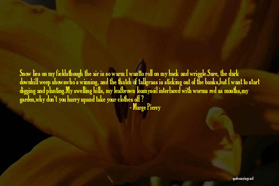 Callesen Financial Manistee Quotes By Marge Piercy
