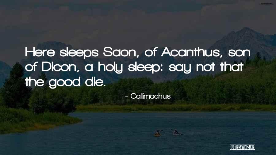 Callimachus Quotes 2040568 Callimachus Quotes 2040568