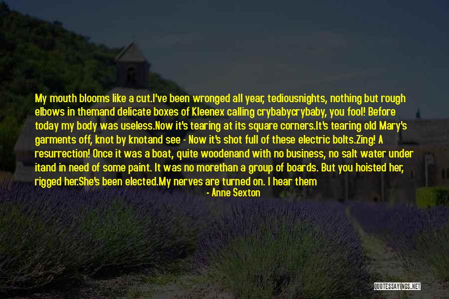Calling Someone A Fool Quotes By Anne Sexton Calling Someone A Fool Quotes By Anne Sexton
