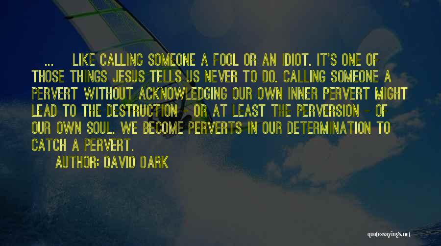Calling Someone A Fool Quotes By David Dark