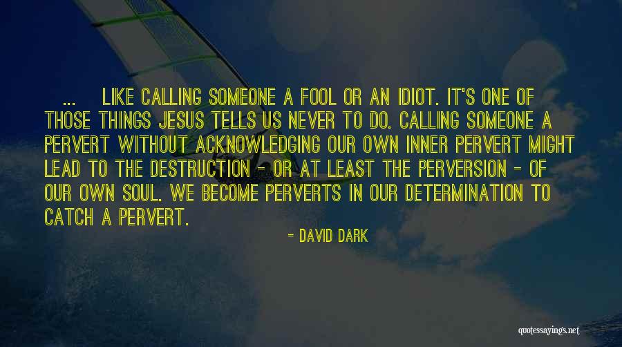 Calling Someone A Fool Quotes By David Dark