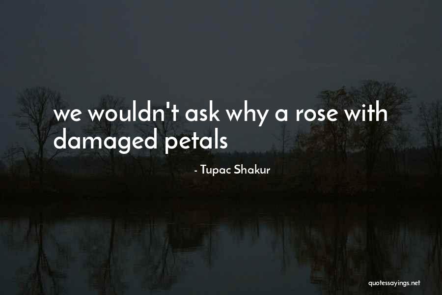 Calling Someone A Racist Quotes By Tupac Shakur Calling Someone A Racist Quotes By Tupac Shakur