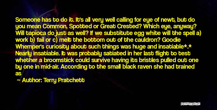 Calling Someone Quotes By Terry Pratchett