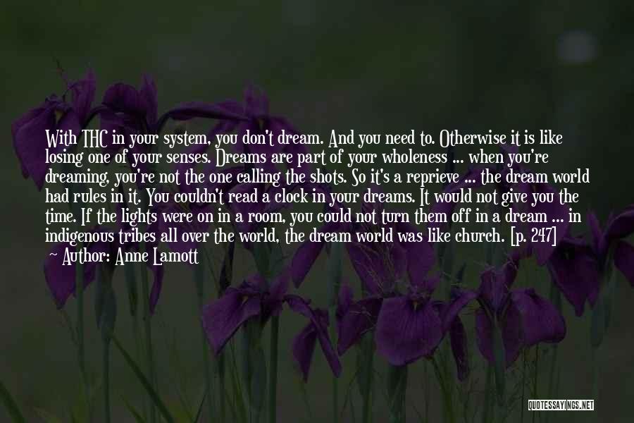 Calling The Shots Quotes By Anne Lamott