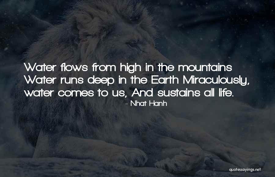 Callini Siesta Quotes By Nhat Hanh Callini Siesta Quotes By Nhat Hanh