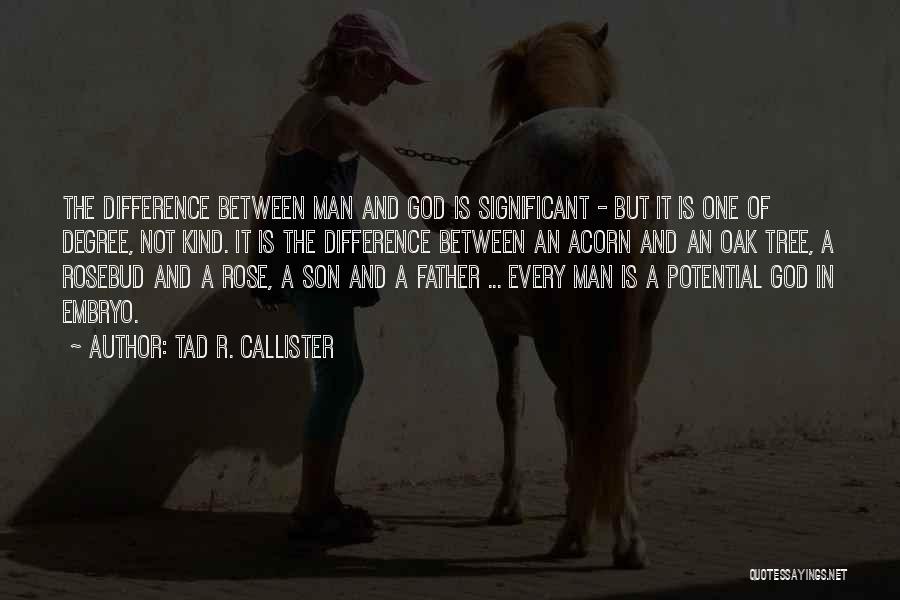 Callister Quotes By Tad R. Callister