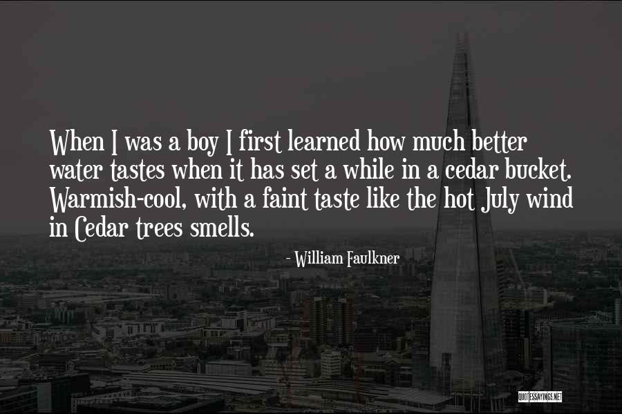 Callosum Pronunciation Quotes By William Faulkner
