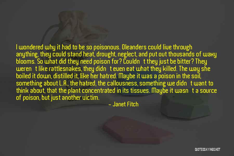 Callousness Quotes By Janet Fitch