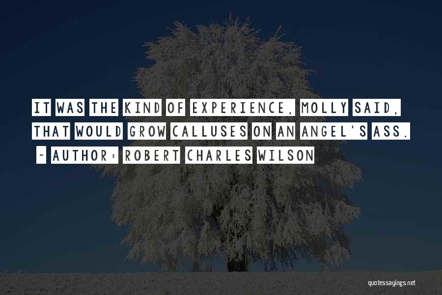 Calluses Quotes By Robert Charles Wilson