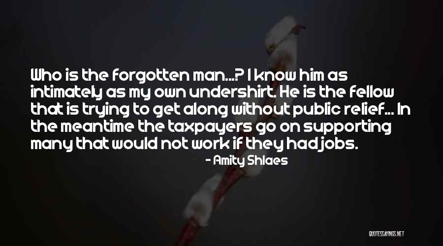 Cally Clarice Quotes By Amity Shlaes Cally Clarice Quotes By Amity Shlaes