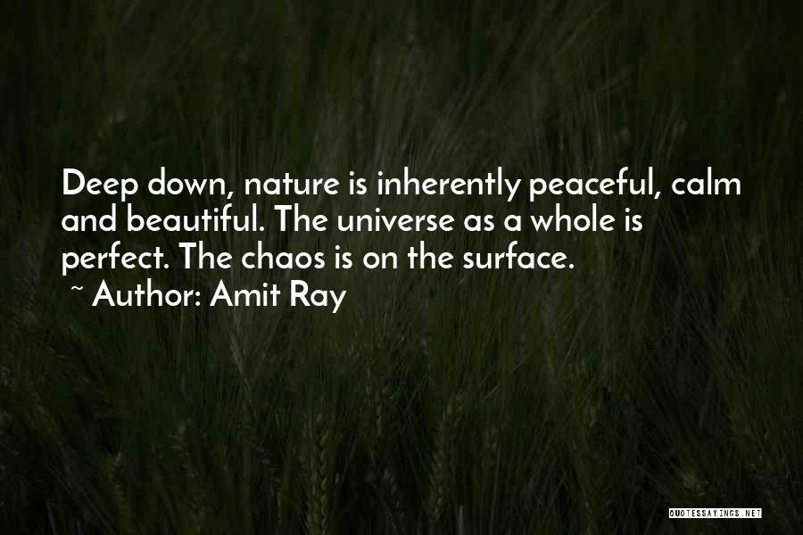 Calm And Chaos Quotes By Amit Ray