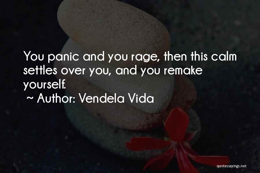 Calm And Chaos Quotes By Vendela Vida