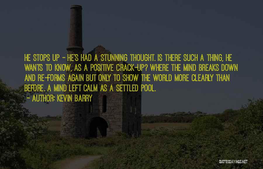 Calm Down Mind Quotes By Kevin Barry