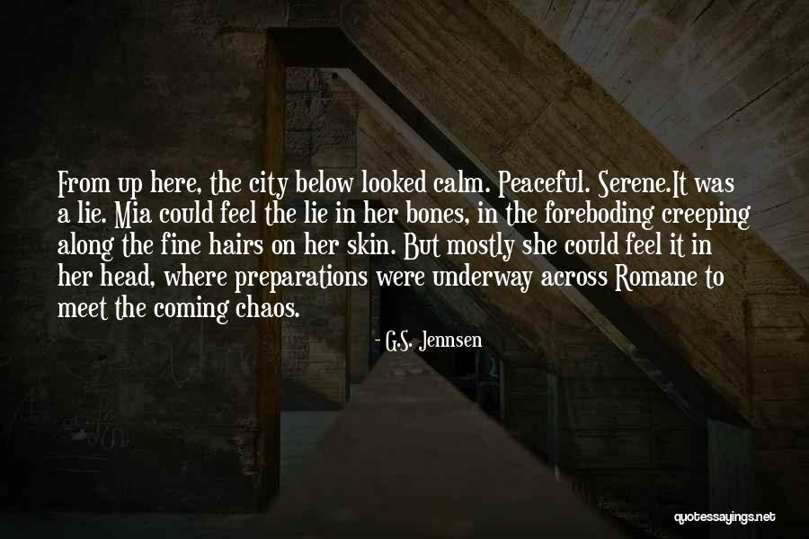 Calm In The Chaos Quotes By G.S. Jennsen Calm In The Chaos Quotes By G.S. Jennsen