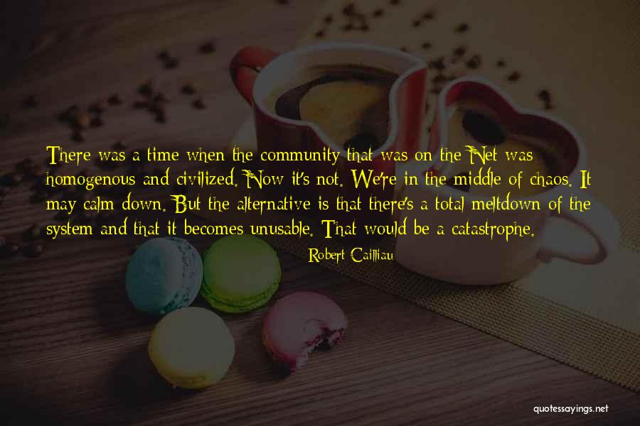 Calm In The Chaos Quotes By Robert Cailliau Calm In The Chaos Quotes By Robert Cailliau