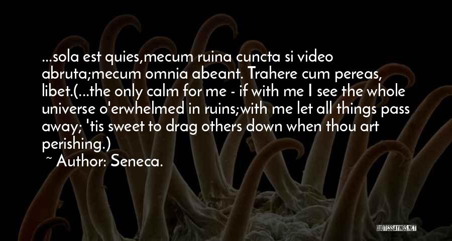 Calm Me Down Quotes By Seneca.