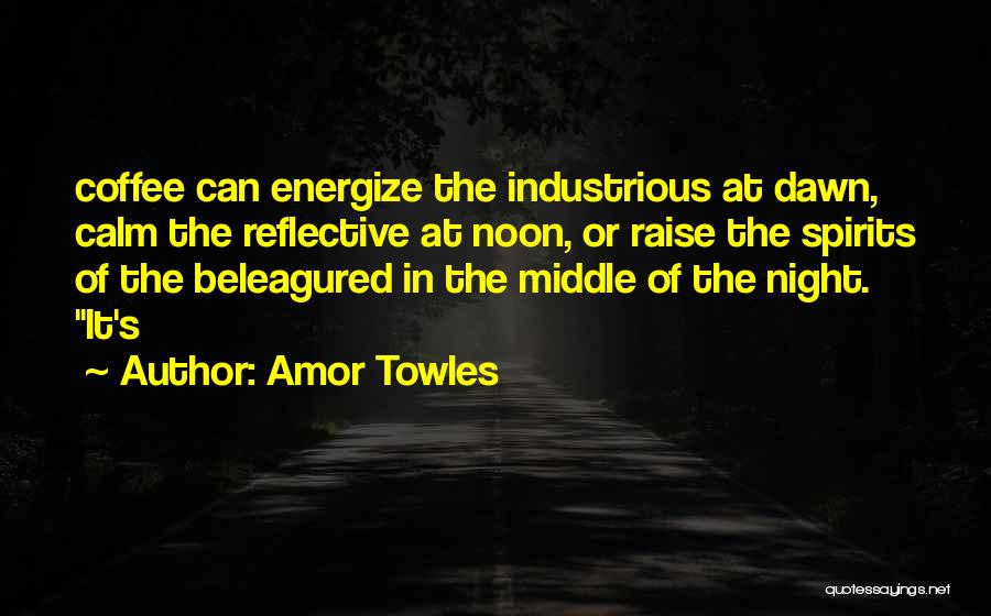 Calm Night Quotes By Amor Towles