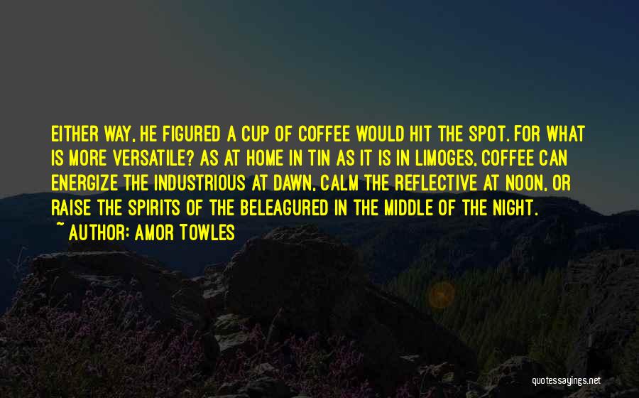 Calm Night Quotes By Amor Towles