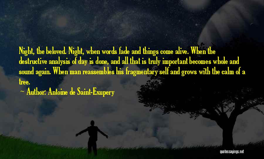 Calm Night Quotes By Antoine De Saint-Exupery