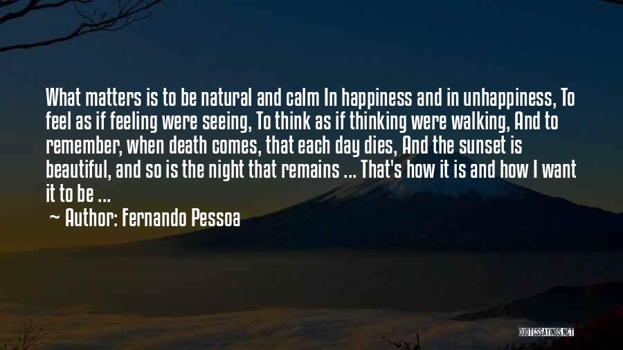 Calm Night Quotes By Fernando Pessoa