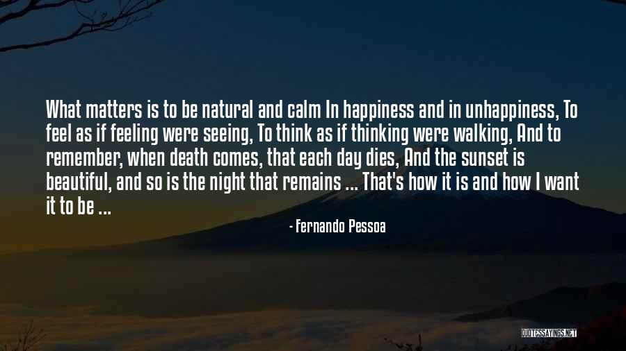 Calm Night Quotes By Fernando Pessoa