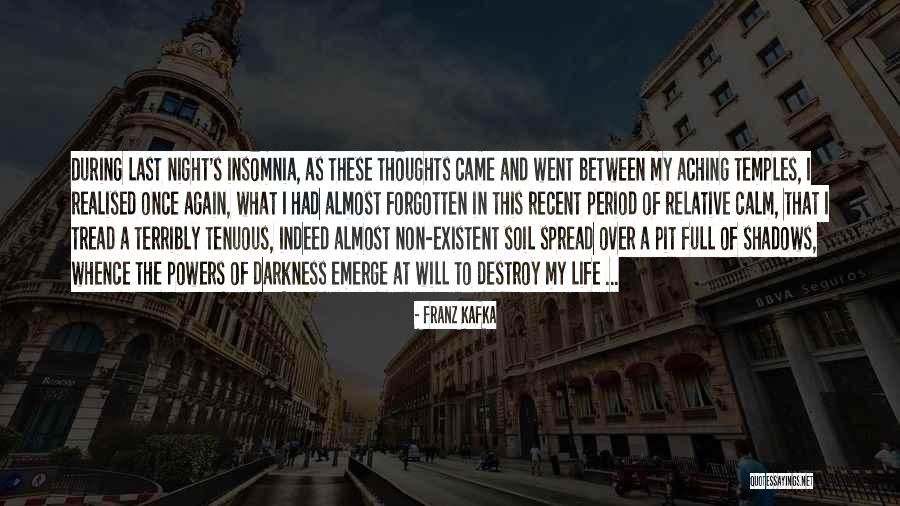 Calm Night Quotes By Franz Kafka