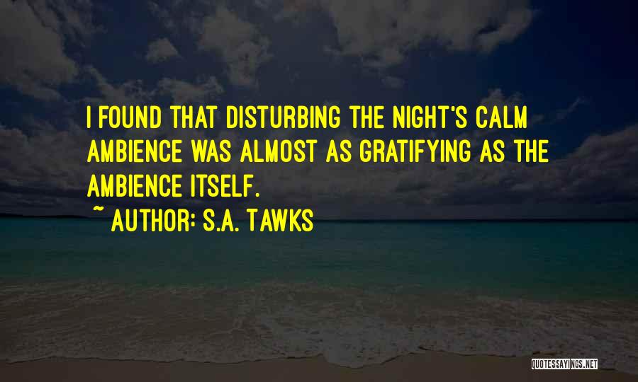 Calm Night Quotes By S.A. Tawks