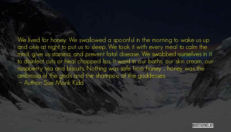 Calm Night Quotes By Sue Monk Kidd