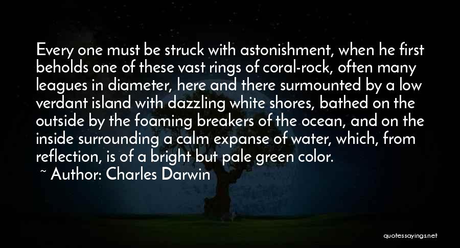 Calm Ocean Quotes By Charles Darwin