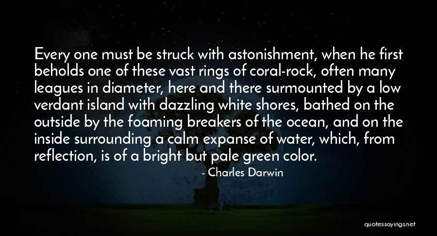 Calm Ocean Quotes By Charles Darwin