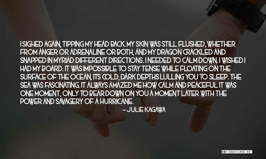 Calm Ocean Quotes By Julie Kagawa Calm Ocean Quotes By Julie Kagawa