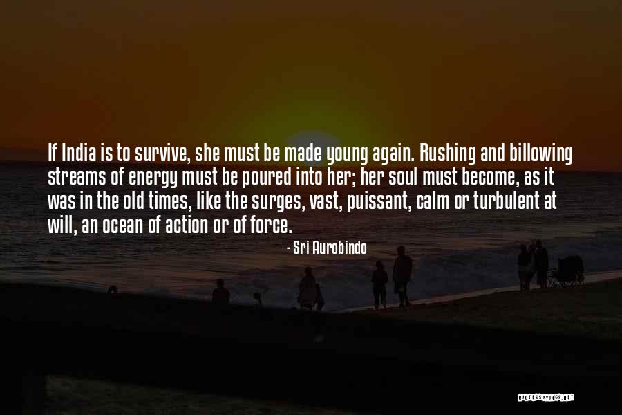 Calm Ocean Quotes By Sri Aurobindo Calm Ocean Quotes By Sri Aurobindo