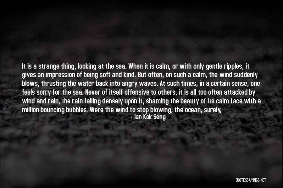 Calm Ocean Quotes By Tan Kok Seng Calm Ocean Quotes By Tan Kok Seng