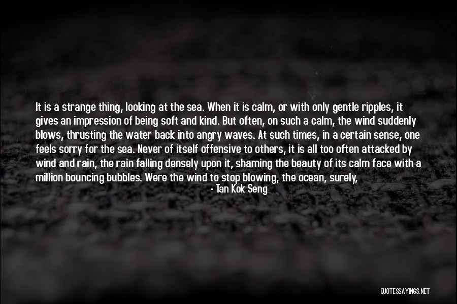 Calm Ocean Quotes By Tan Kok Seng