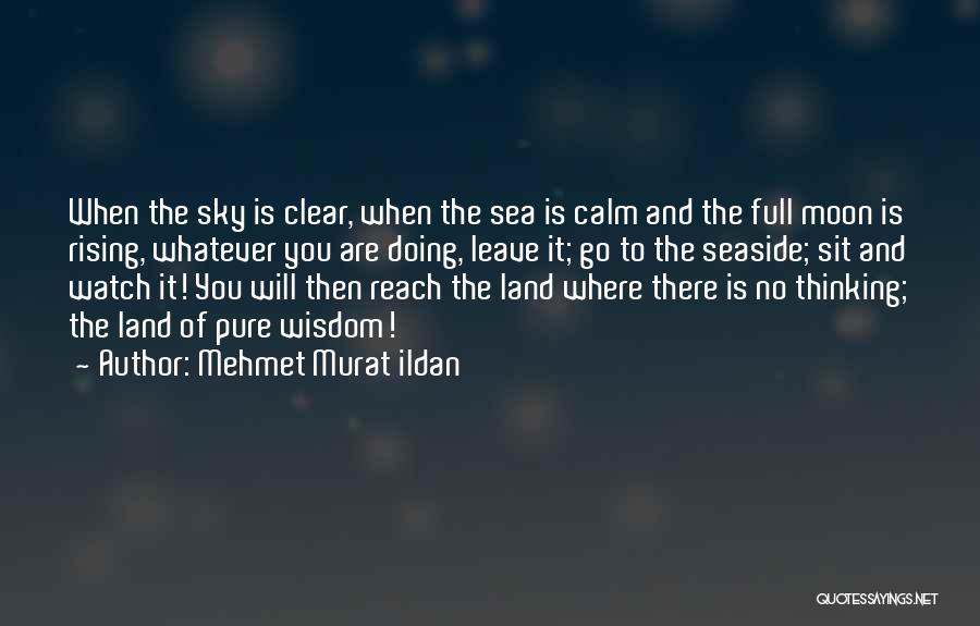 Calm Sea Quotes By Mehmet Murat Ildan