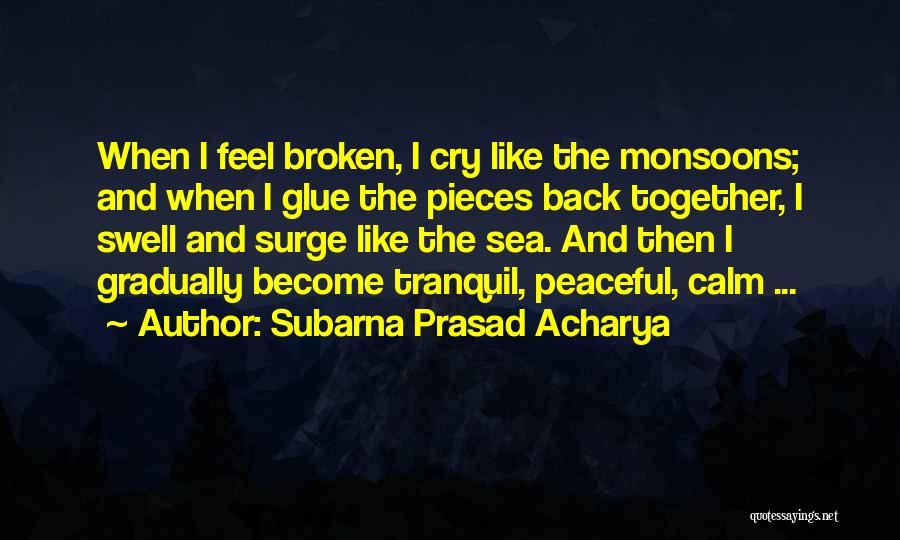 Calm Sea Quotes By Subarna Prasad Acharya