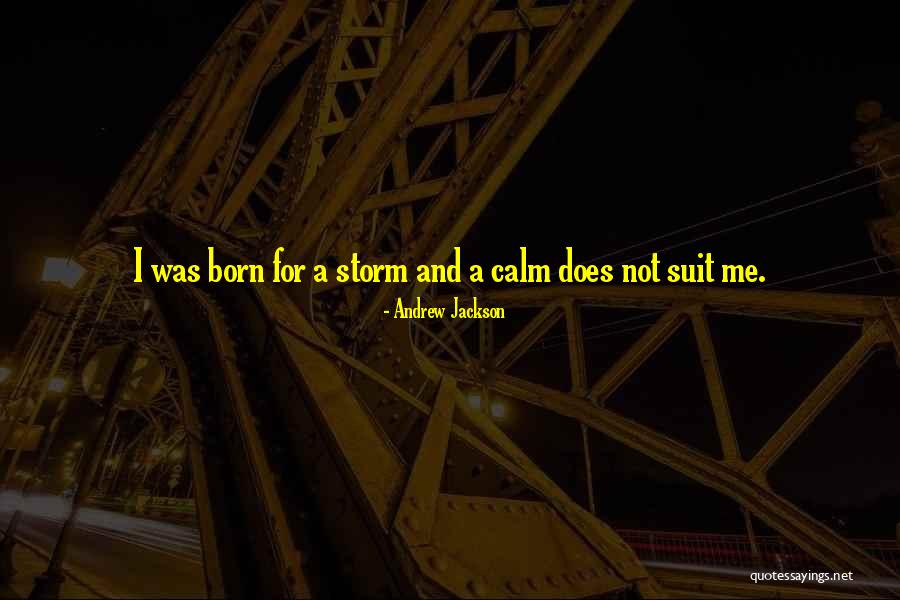 Calm Storm Quotes By Andrew Jackson