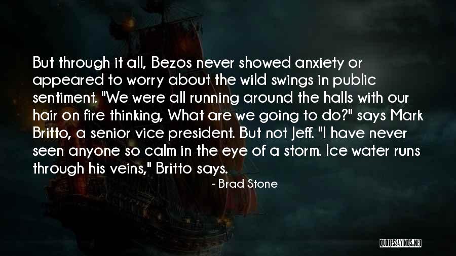 Calm Storm Quotes By Brad Stone