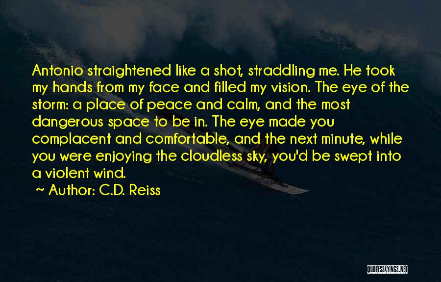 Calm Storm Quotes By C.D. Reiss