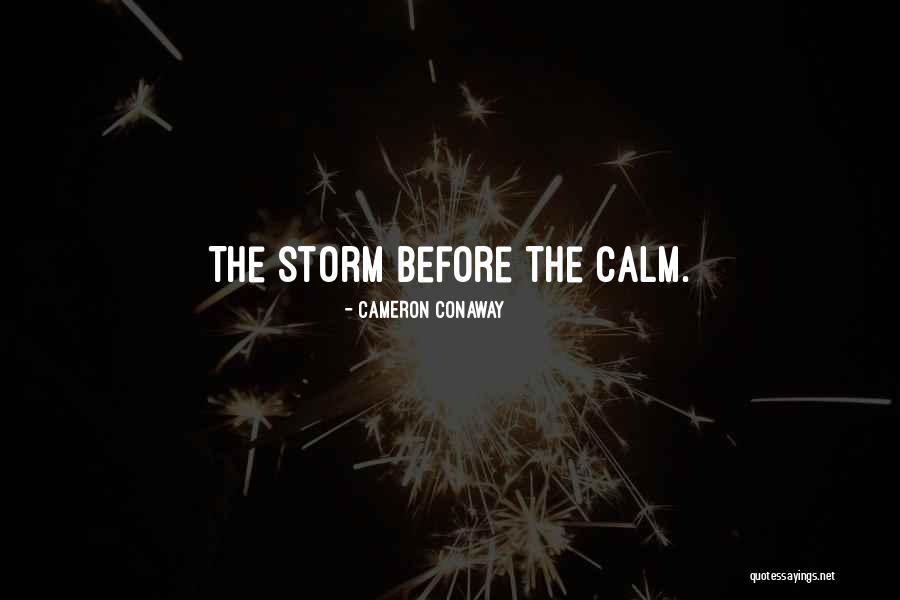 Calm Storm Quotes By Cameron Conaway