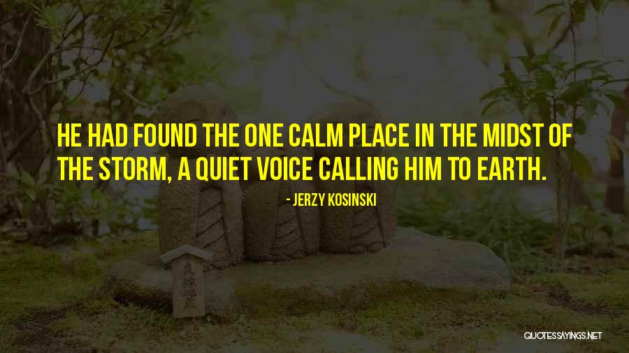 Calm Storm Quotes By Jerzy Kosinski