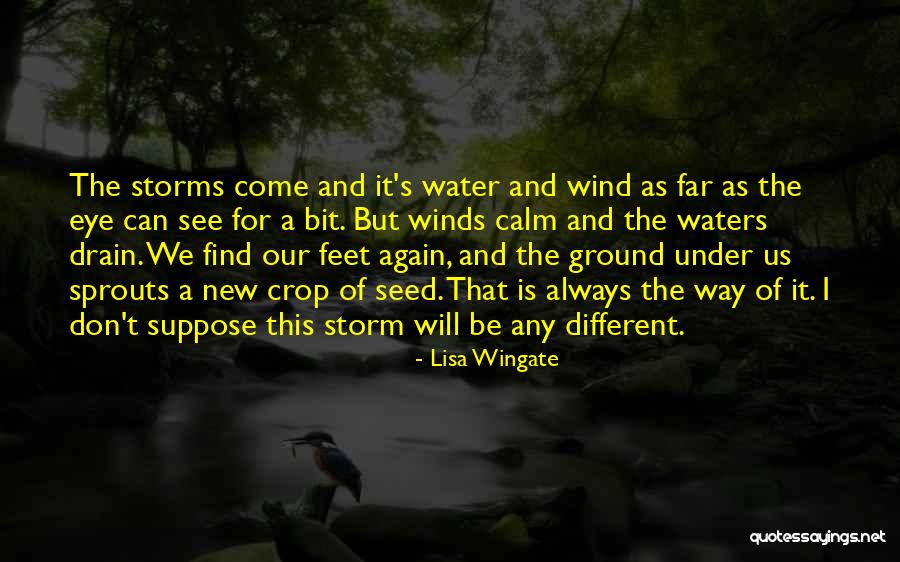 Calm Storm Quotes By Lisa Wingate