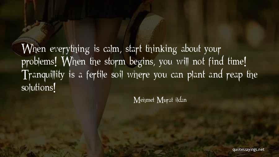 Calm Storm Quotes By Mehmet Murat Ildan