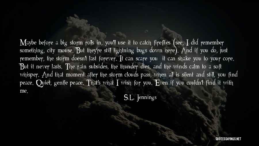 Calm Storm Quotes By S.L. Jennings