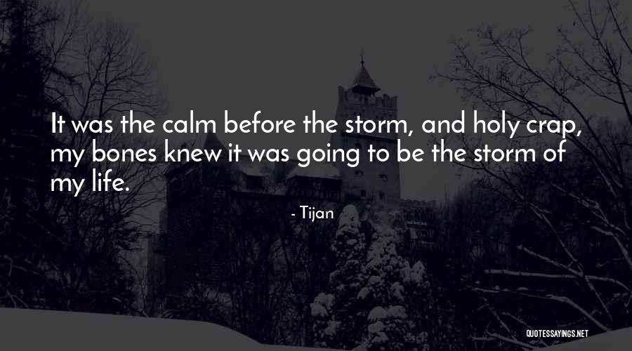 Calm Storm Quotes By Tijan