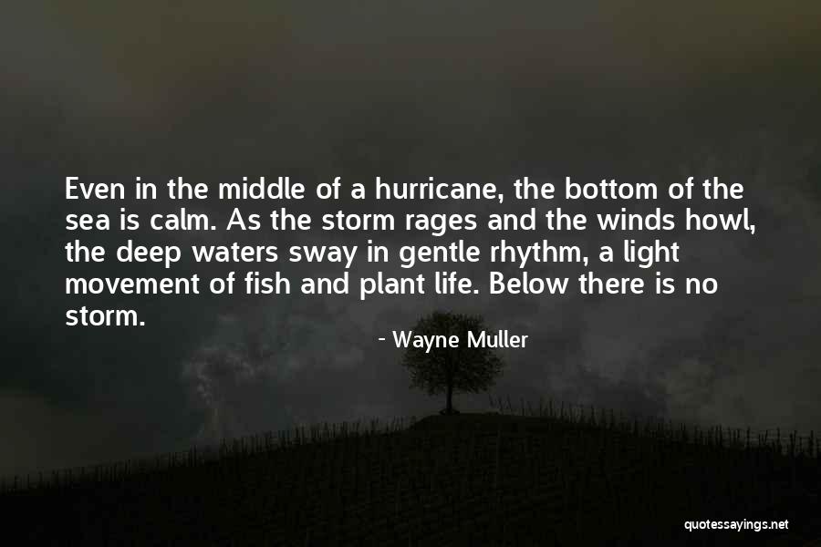 Calm Storm Quotes By Wayne Muller